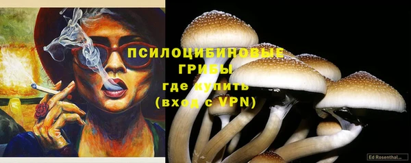 дмт Арсеньев